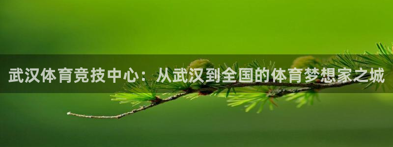 J9官方正版app娱乐是那个系列的台子:武汉体育竞技中心:从