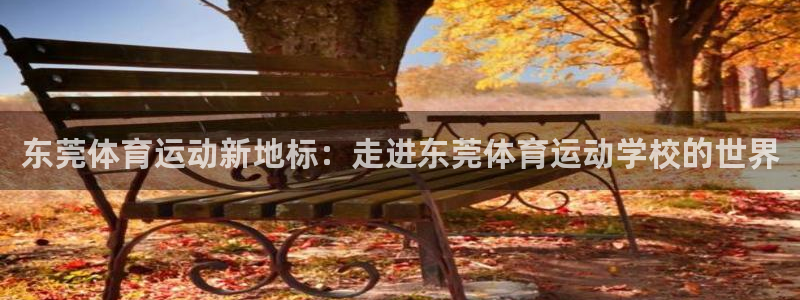 J9官网下载招商电话号码查询是多少:东莞体育运动新地标:走进